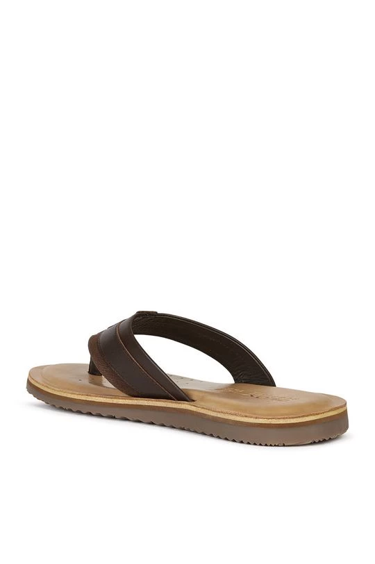 Ανδρικά Δίχαλο Geox - Σαγιονάρες Geox - Σαγιονάρες καφέ 3 Ανδρικά Δίχαλο Geox - Σαγιονάρες Geox - Σαγιονάρες καφέ - Image 3