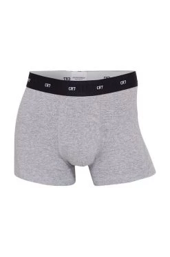 Ανδρικά Μπόξερ και σλιπ Μποξεράκια CR7 Cristiano Ronaldo 3-pack γκρι 7 Ανδρικά Μπόξερ και σλιπ Μποξεράκια CR7 Cristiano Ronaldo 3-pack γκρι -Ρούχα Εκπτώσεις unnamed file 5058